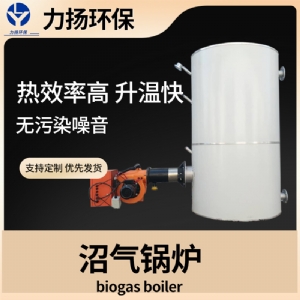 沼气供暖锅炉